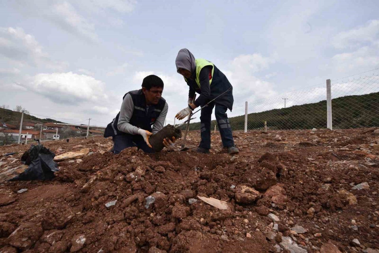 Karesi Belediyesi çevreci hamlelerini sürdürüyor