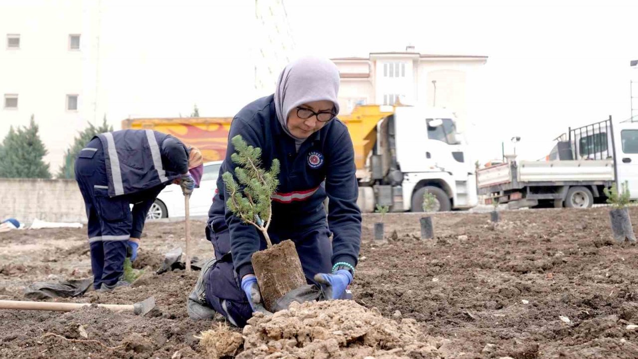 Karesi Belediyesi çevreci hamlelerini sürdürüyor