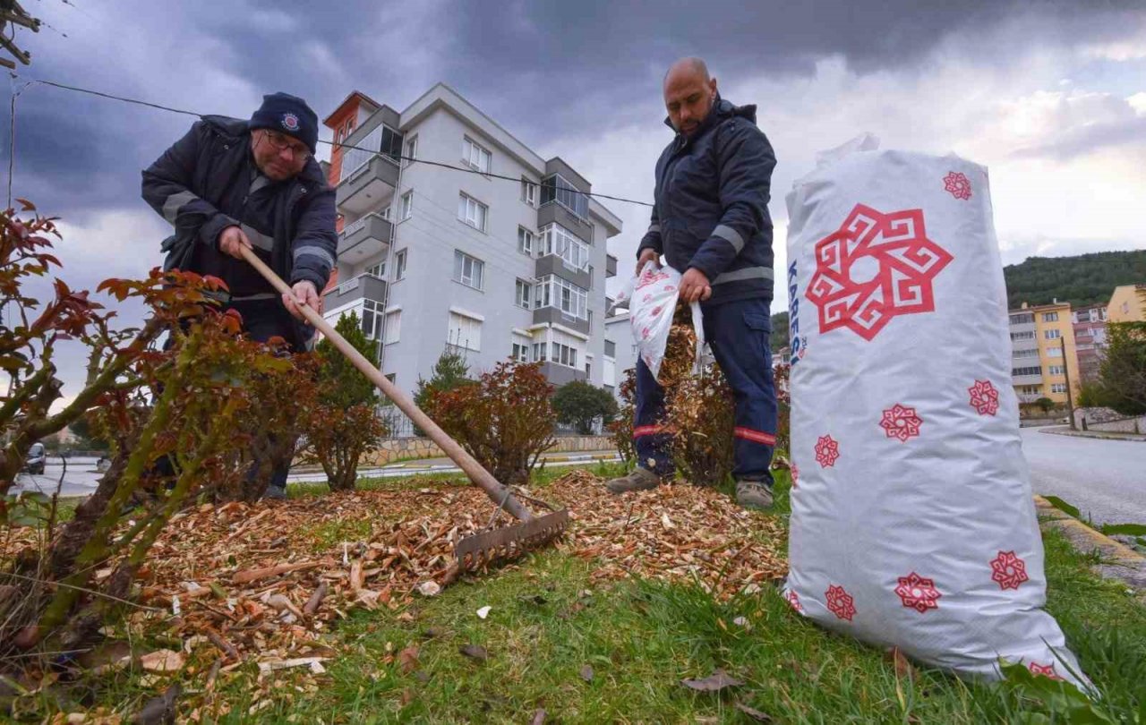 Karesi Belediyesi çevreci hamlelerini sürdürüyor