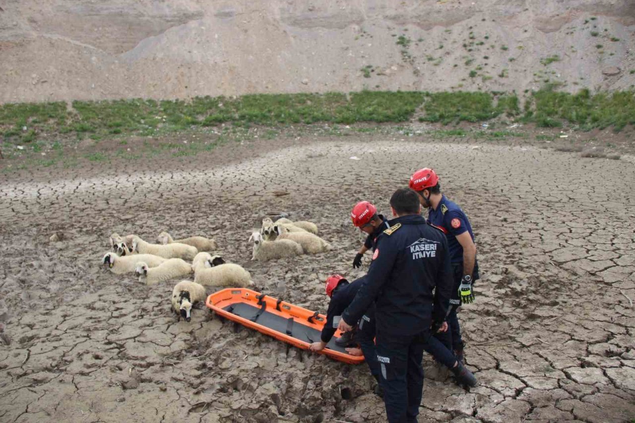 Büyükşehir İtfaiyesi’nden bataklıkta 2 saatlik koyun kurtarma operasyonu