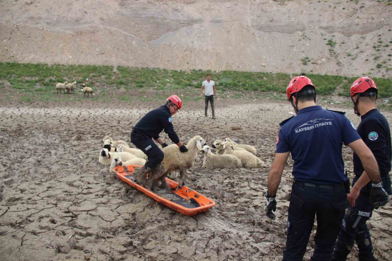 Büyükşehir İtfaiyesi’nden bataklıkta 2 saatlik koyun kurtarma operasyonu