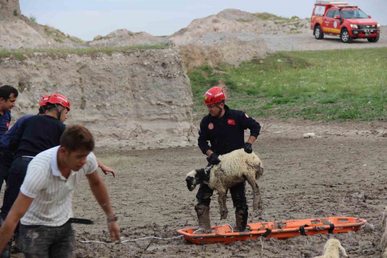 Büyükşehir İtfaiyesi’nden bataklıkta 2 saatlik koyun kurtarma operasyonu