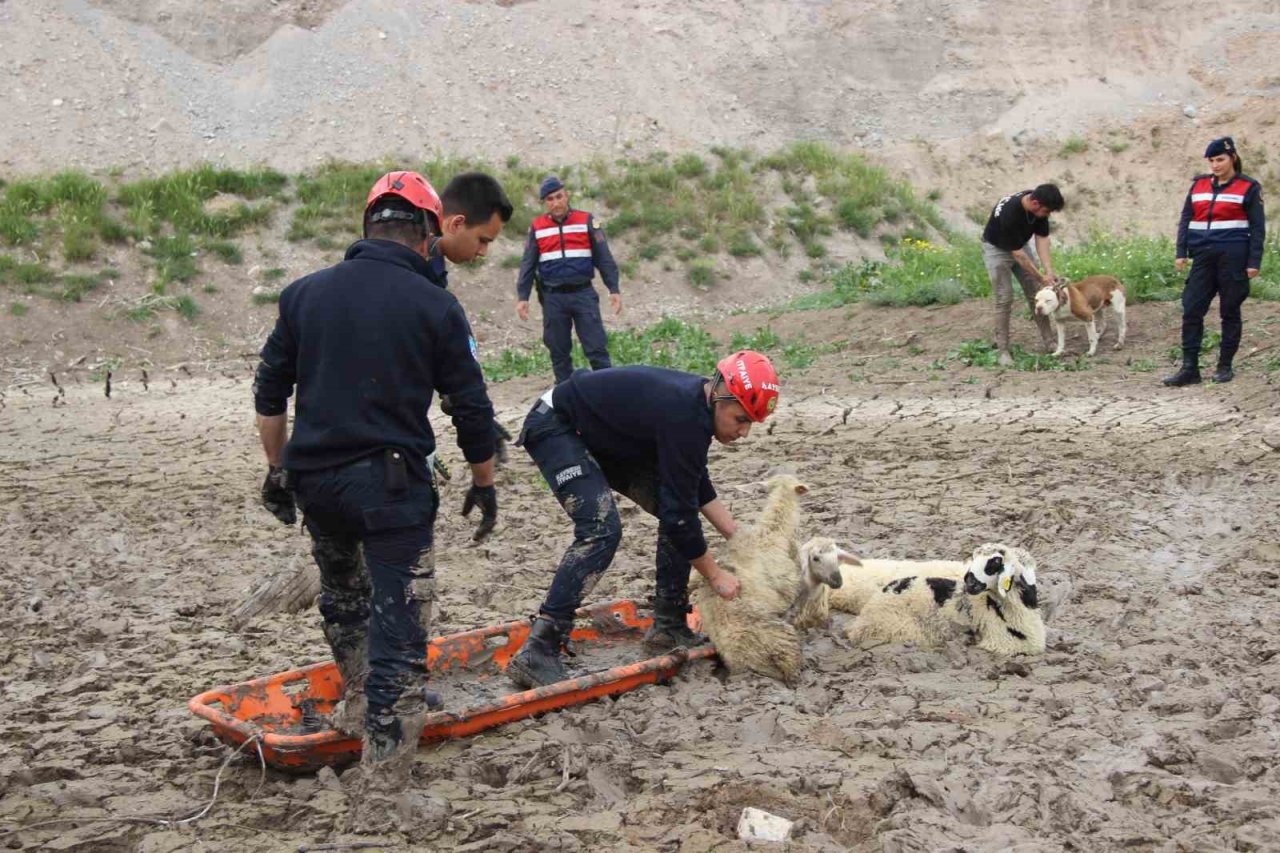 Büyükşehir İtfaiyesi’nden bataklıkta 2 saatlik koyun kurtarma operasyonu