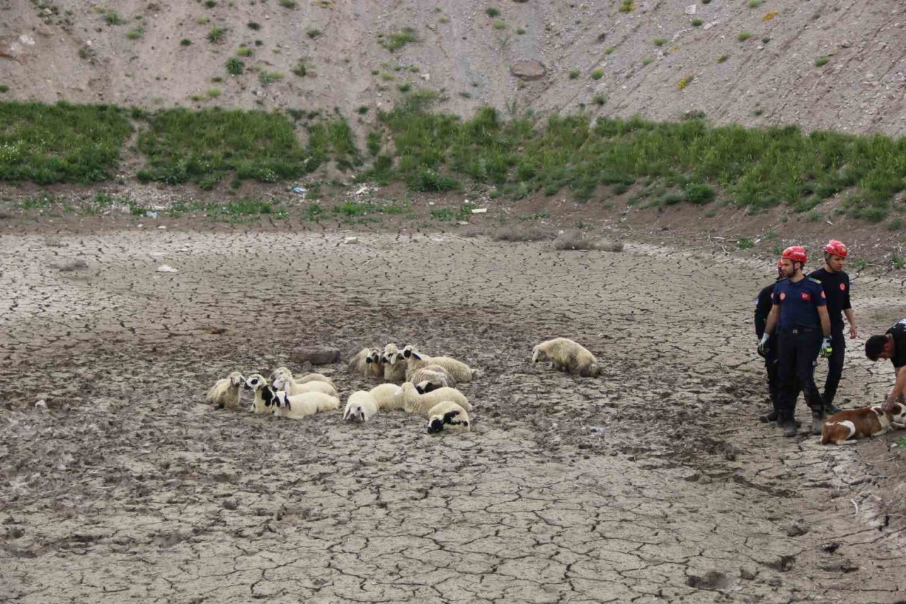 Büyükşehir İtfaiyesi’nden bataklıkta 2 saatlik koyun kurtarma operasyonu