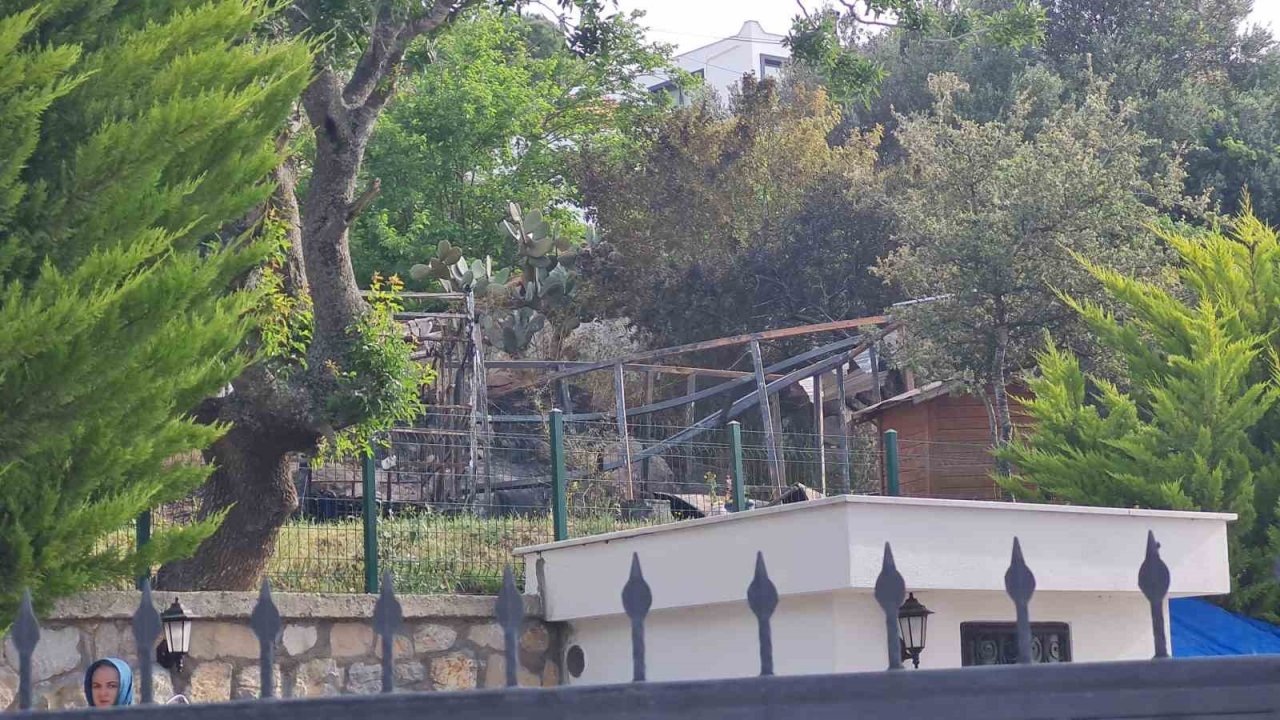 Karavanda yanarak can verdi