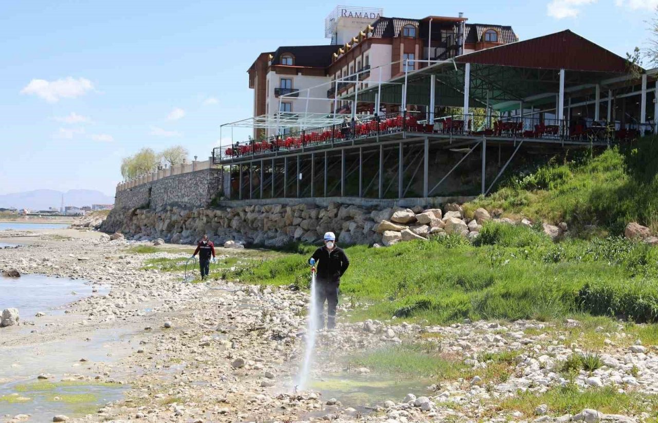 Van Büyükşehir Belediyesinin ilaçlama çalışmaları devam ediyor