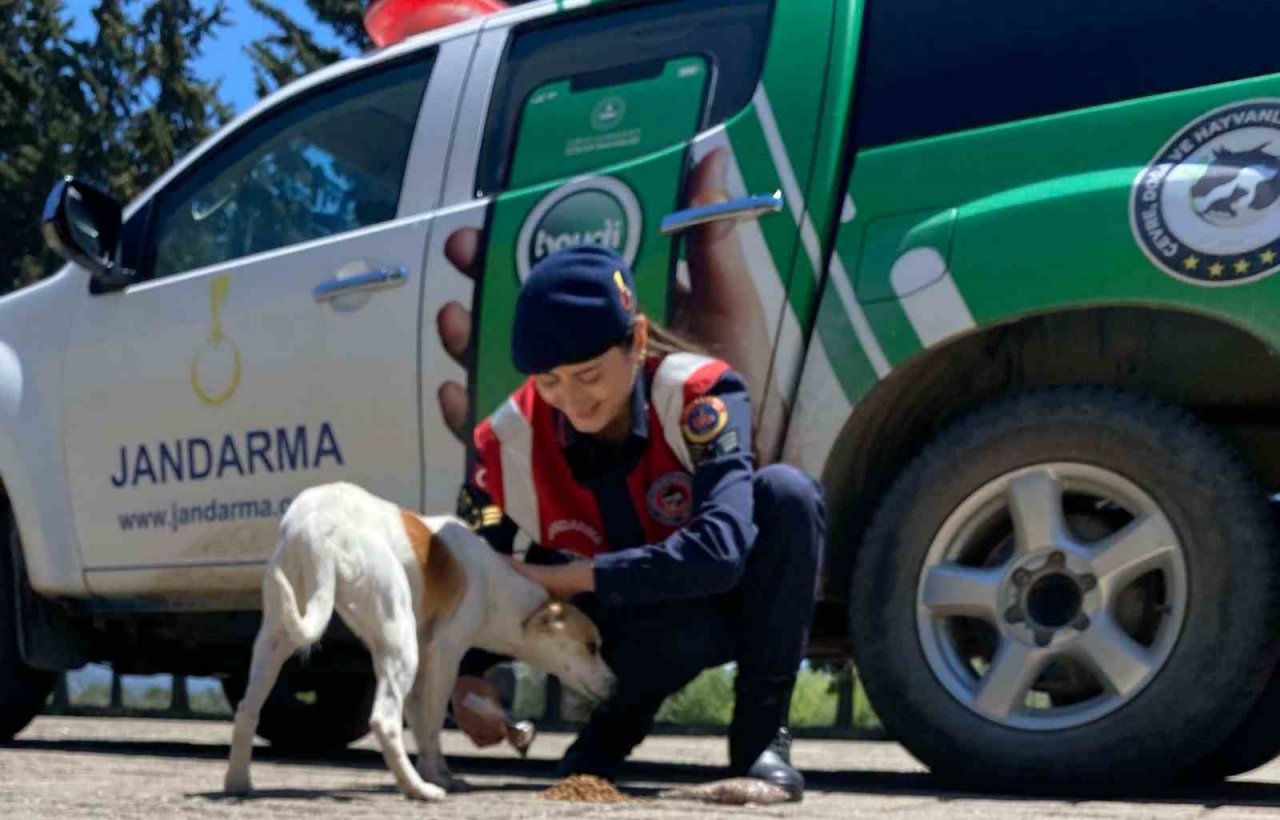 Antik kenti ziyarete gelen öğrencilere hayvan ve doğa sevgisi anlatıldı