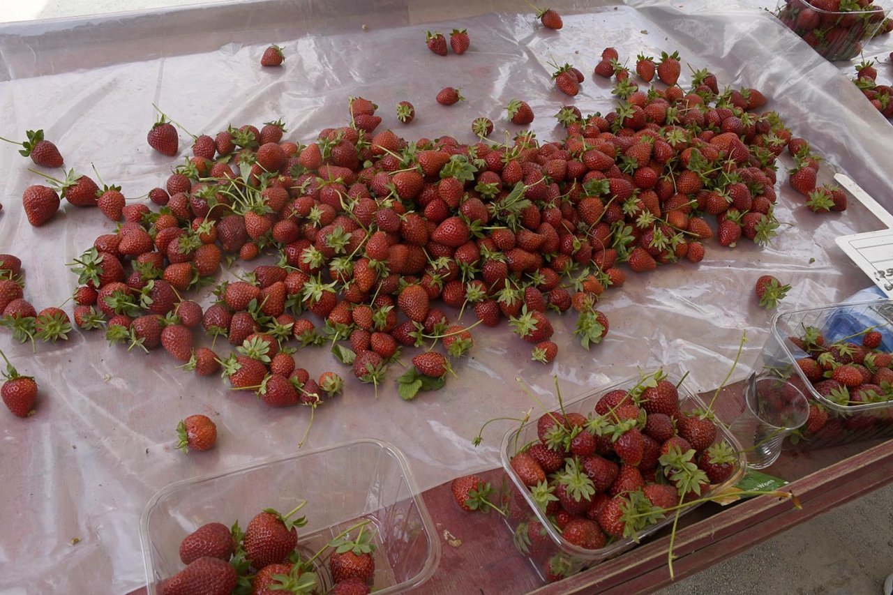 Bu pazarda üreticiler emeklerinin karşılığını alıyor