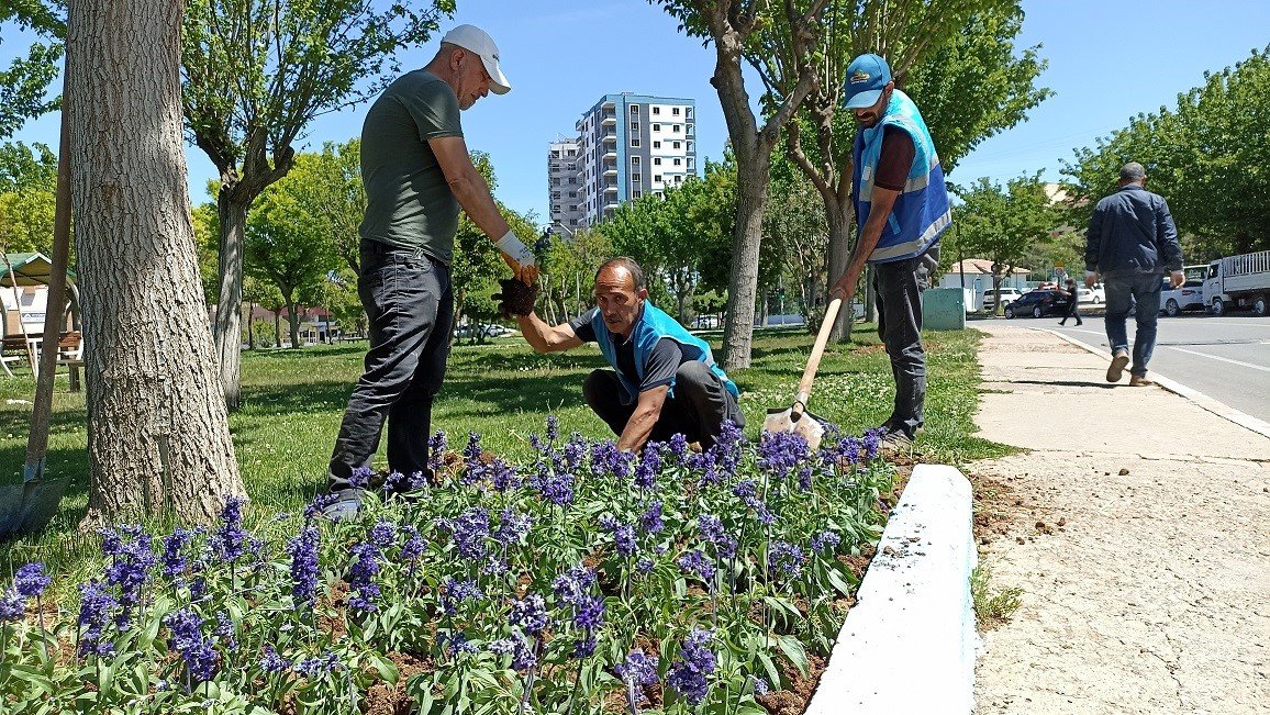 Eyyübiye parkları çiçeklerle renkleniyor