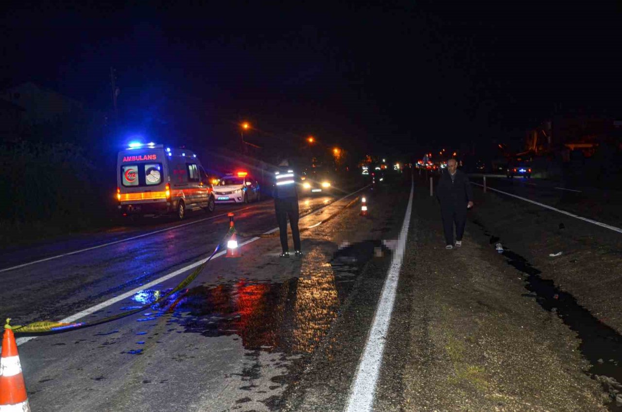 Tuvalet ihtiyacı için durdu, yolun karşısına geçmek isterken otomobil çarptı: 1 ölü