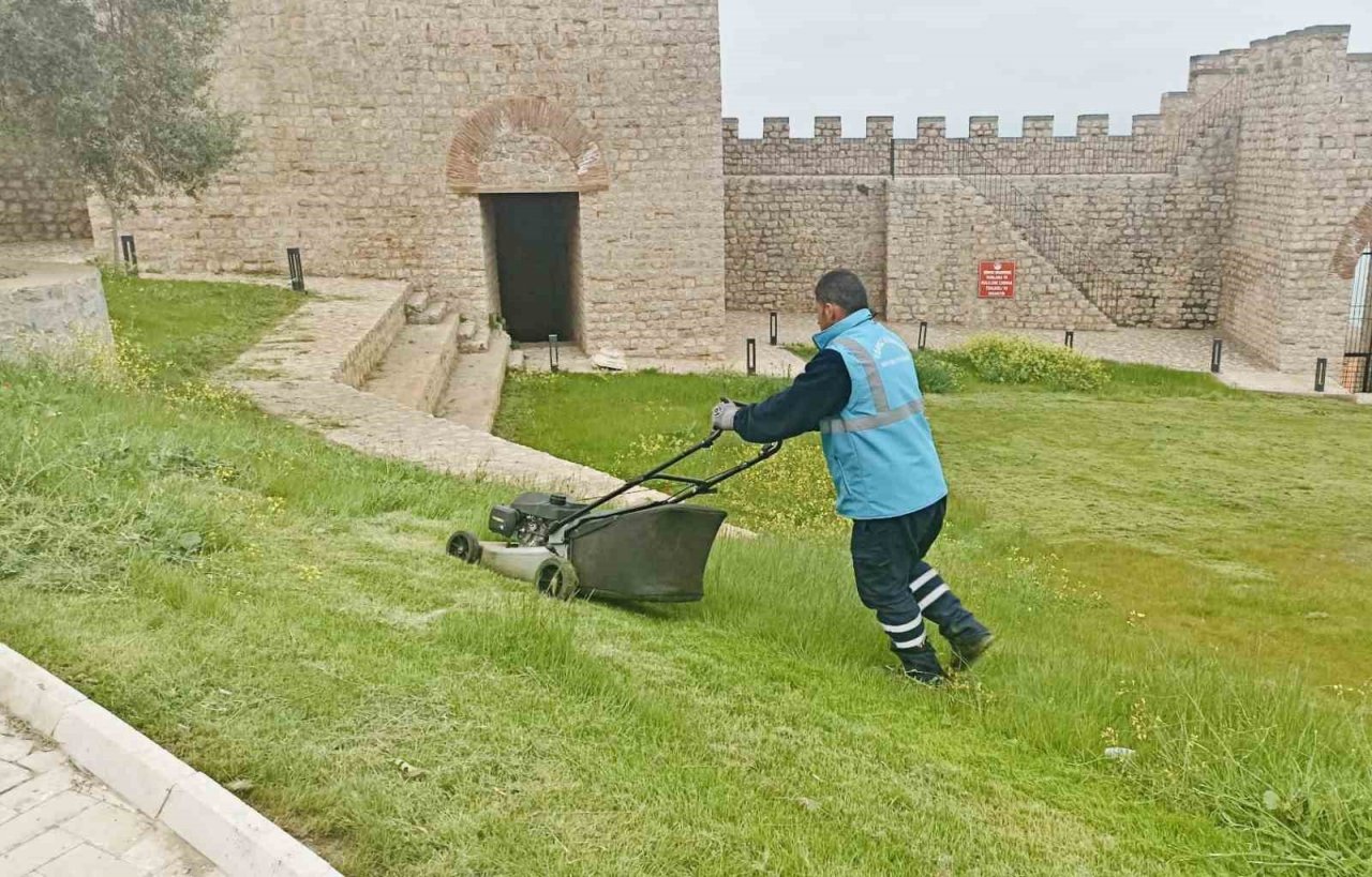 Körfez’de yabani otlar temizleniyor