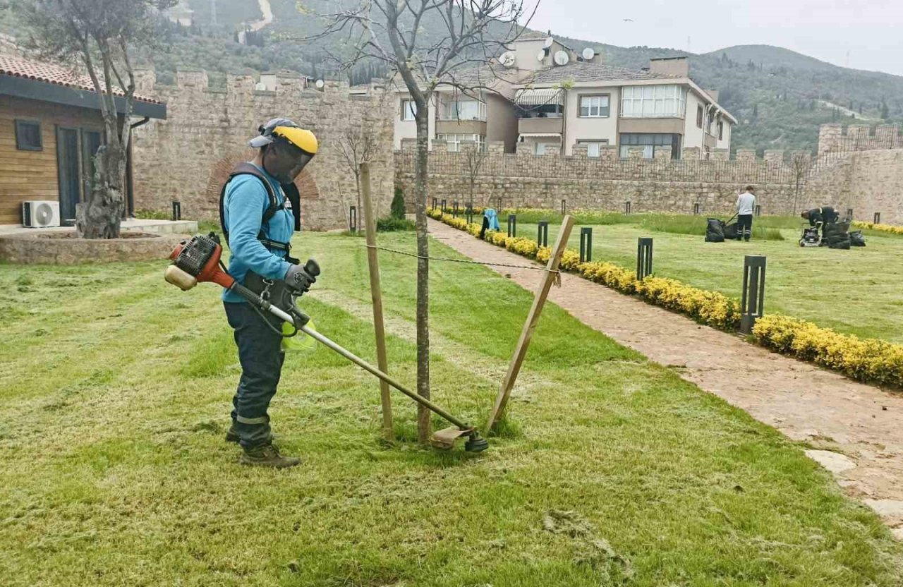 Körfez’de yabani otlar temizleniyor