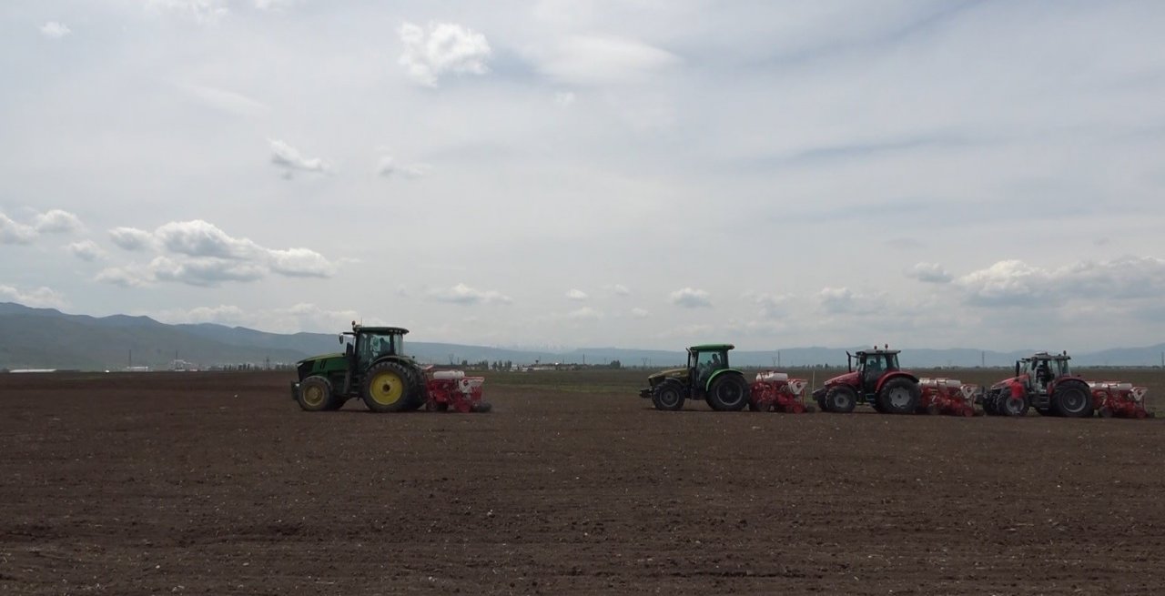 500 bin ton şeker pancarından 2 milyar TL gelir bekleniyor