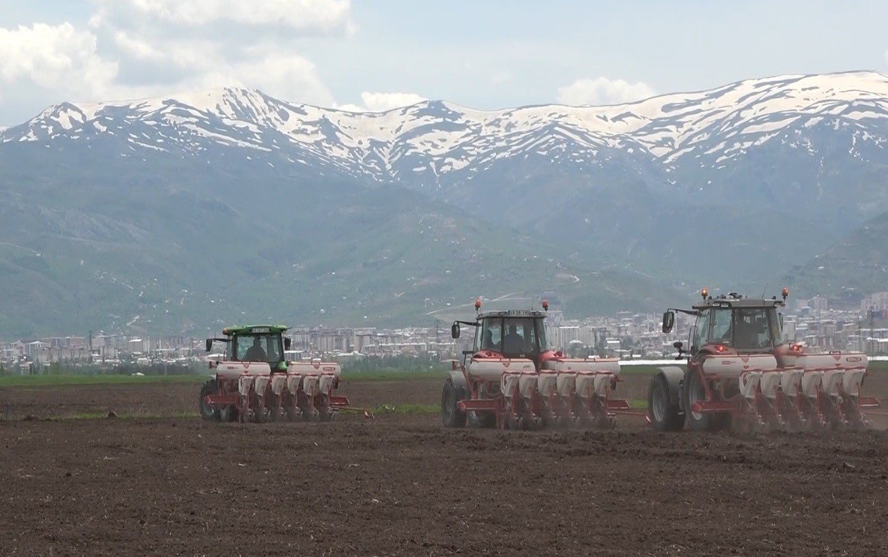 500 bin ton şeker pancarından 2 milyar TL gelir bekleniyor