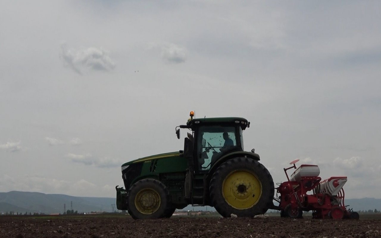 500 bin ton şeker pancarından 2 milyar TL gelir bekleniyor