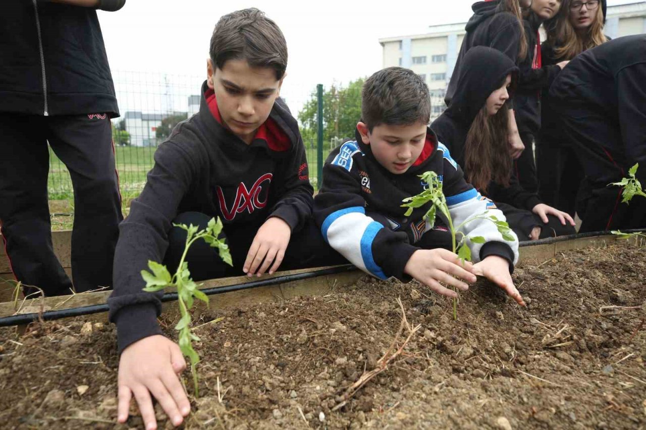 Nilüfer’de öğrenciler Mini Bostan’da fide dikti