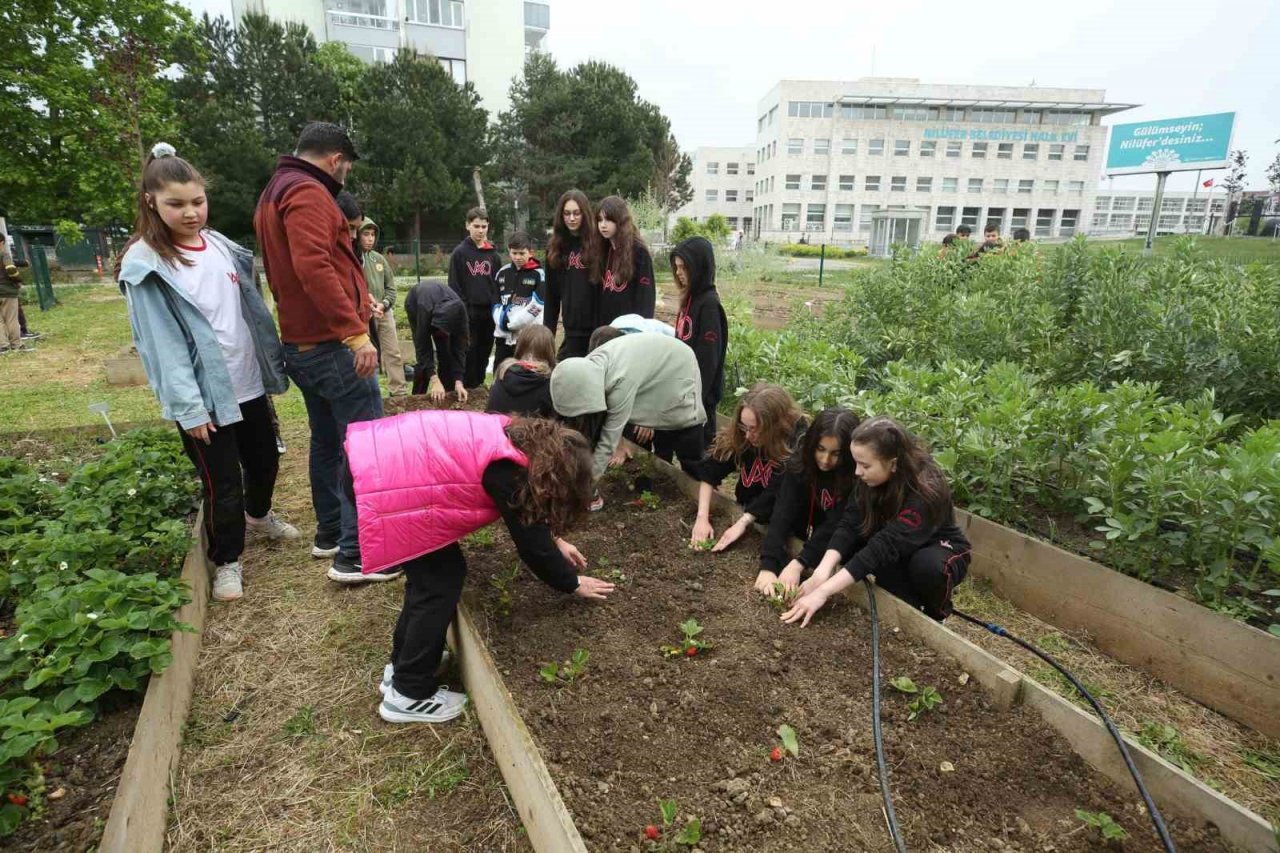 Nilüfer’de öğrenciler Mini Bostan’da fide dikti