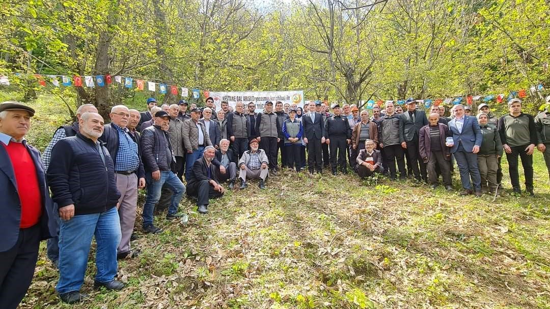 Kestane Ormanları, zararlı böceklerden korunuyor