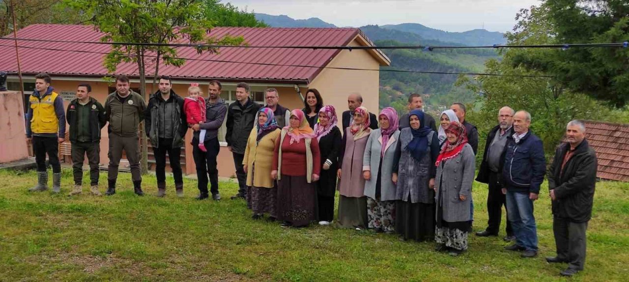 Türkeli ormanlarında mücadele alanları genişletiliyor