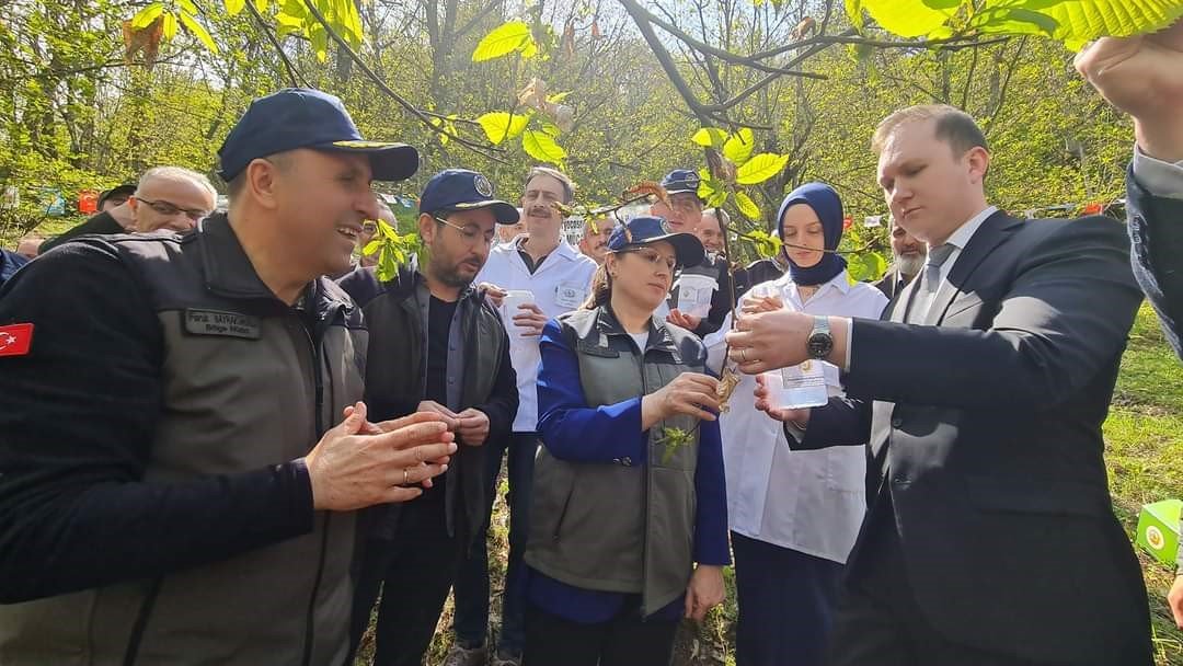 Kestane Ormanları, zararlı böceklerden korunuyor