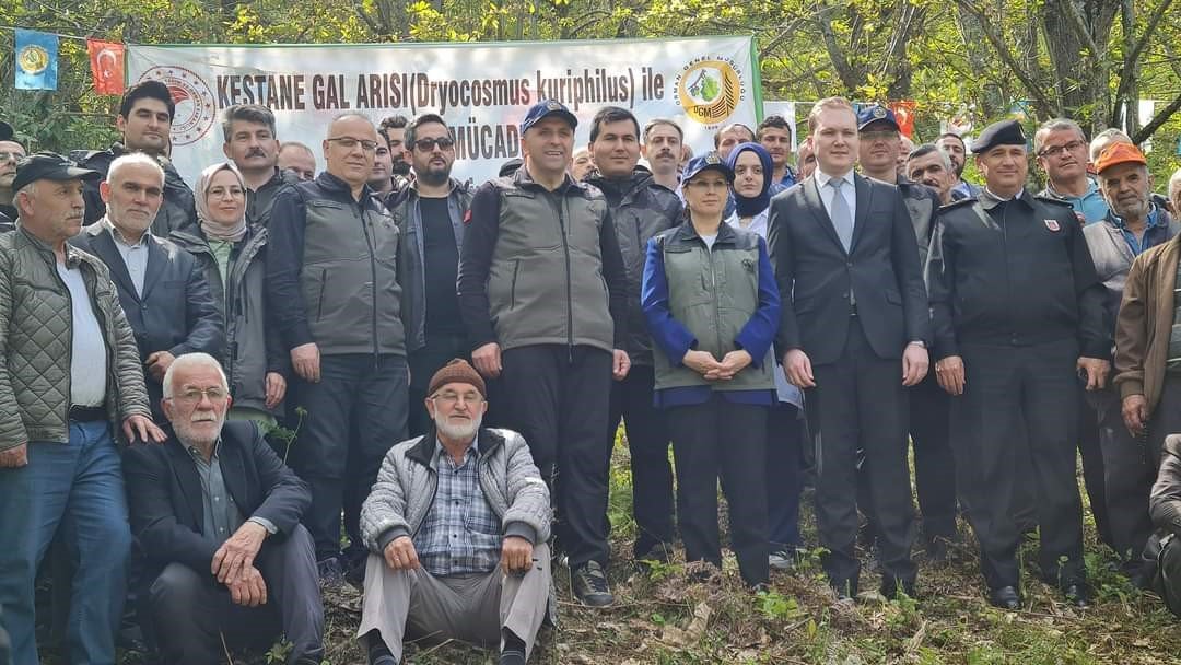 Kestane Ormanları, zararlı böceklerden korunuyor