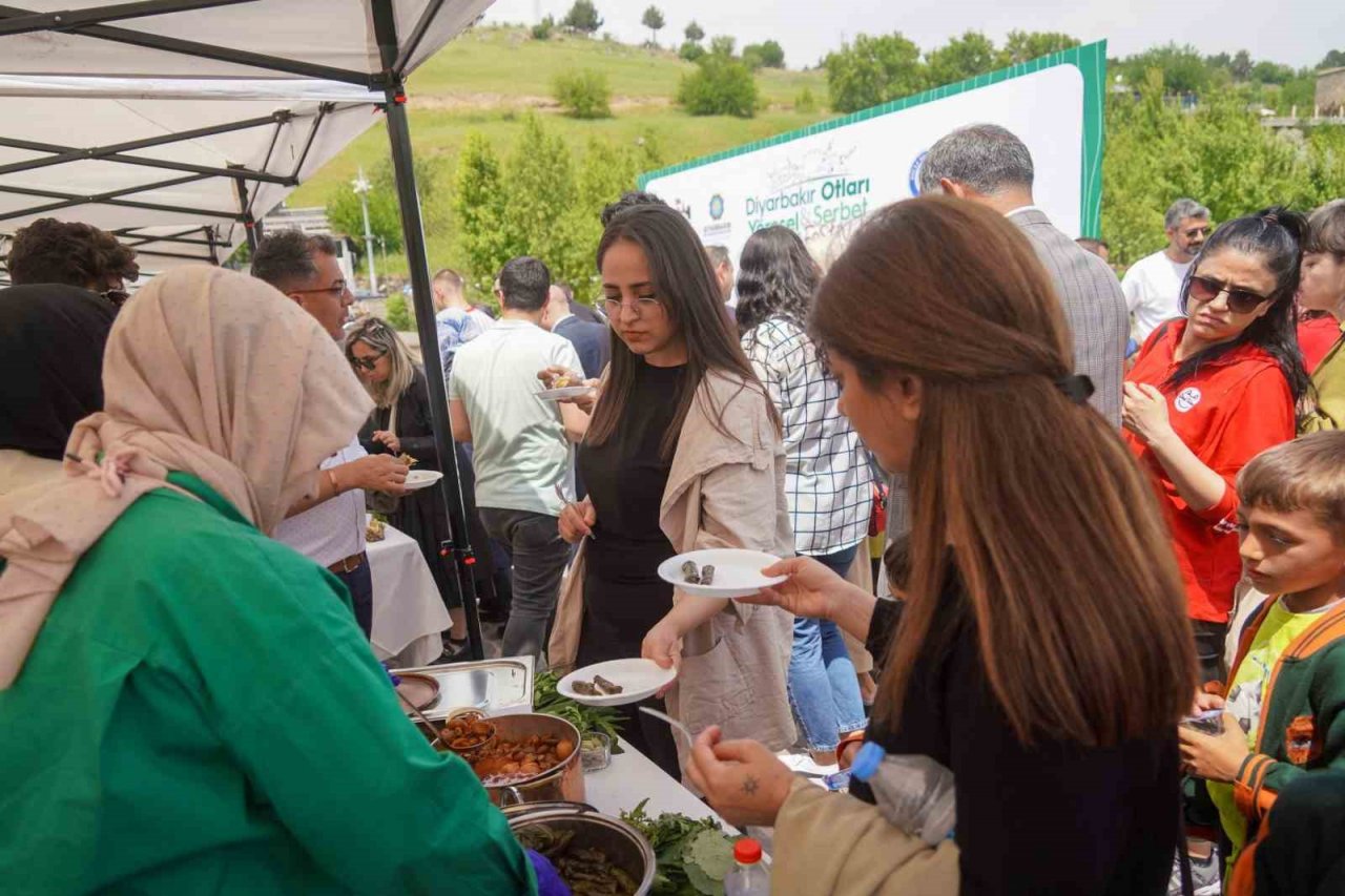 Diyarbakır otları ve şerbet festivali