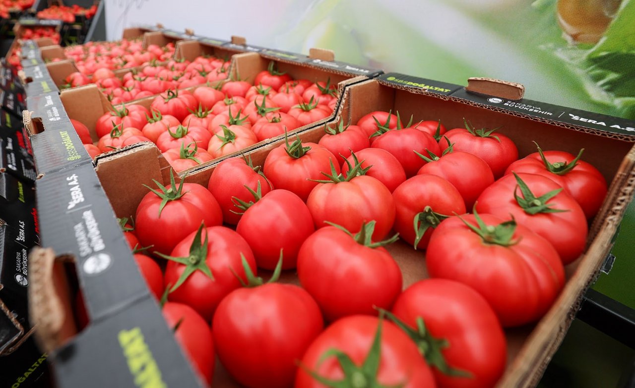 Başkan Yüce: “Seracılık Mükemmeliyet Merkezi Türkiye’ye örnektir”