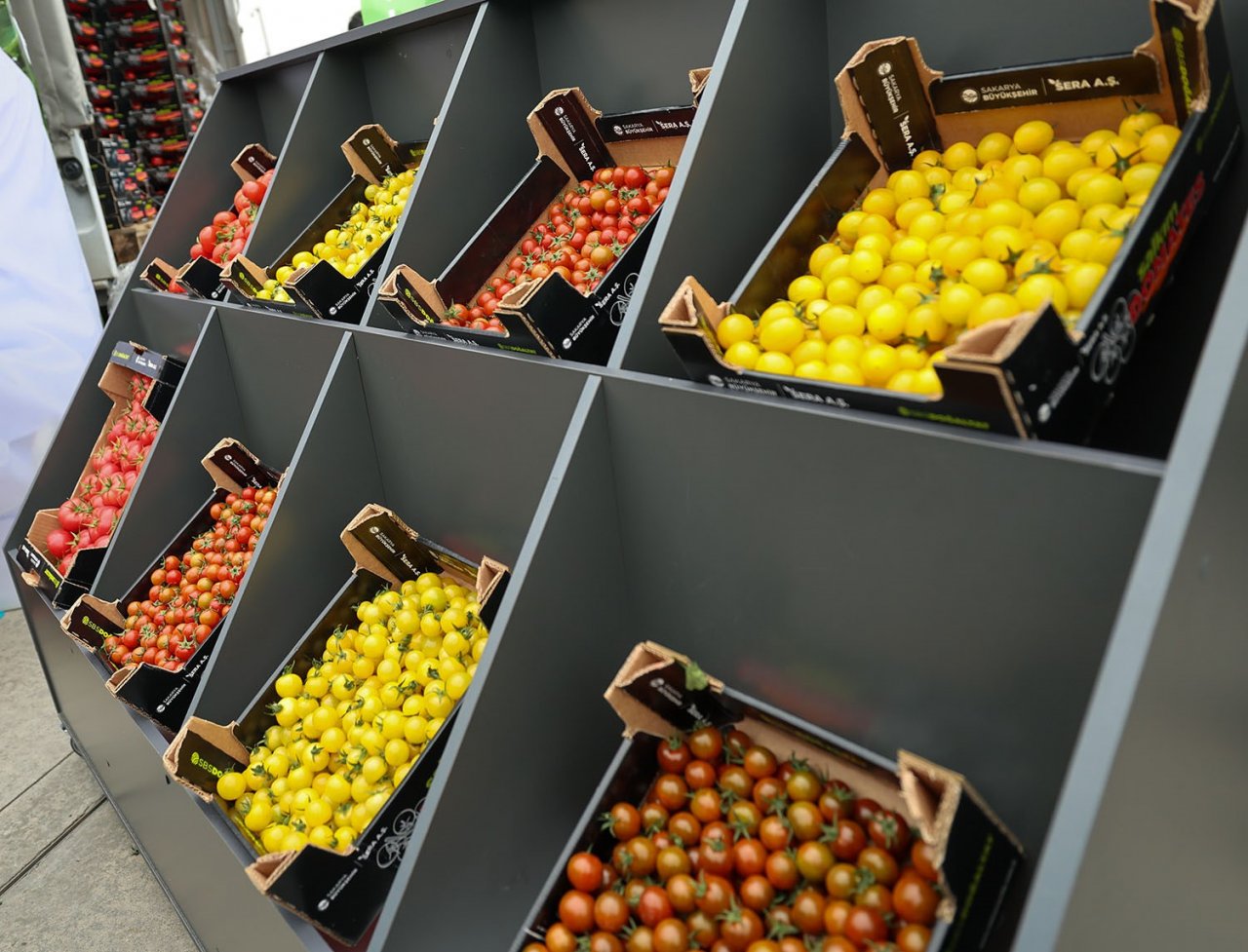 Başkan Yüce: “Seracılık Mükemmeliyet Merkezi Türkiye’ye örnektir”