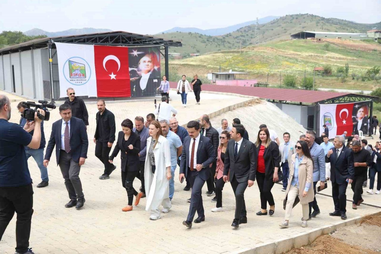 DEÜ ve Kiraz Belediyesinden can dostlara yuva