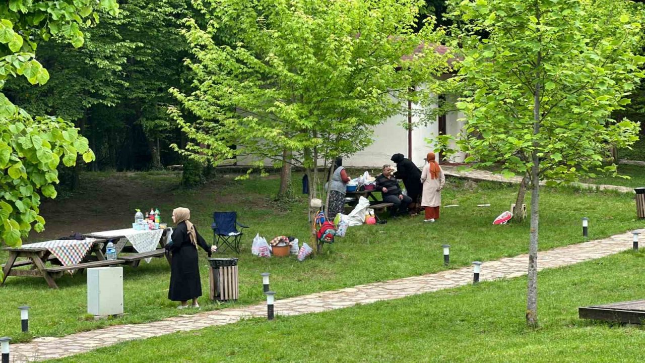 Oylarını kullanıp pikniğe koştular