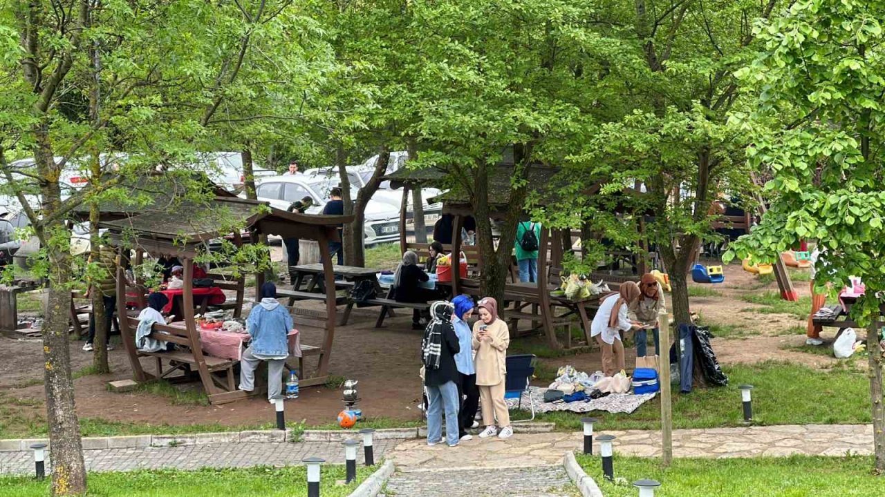 Oylarını kullanıp pikniğe koştular