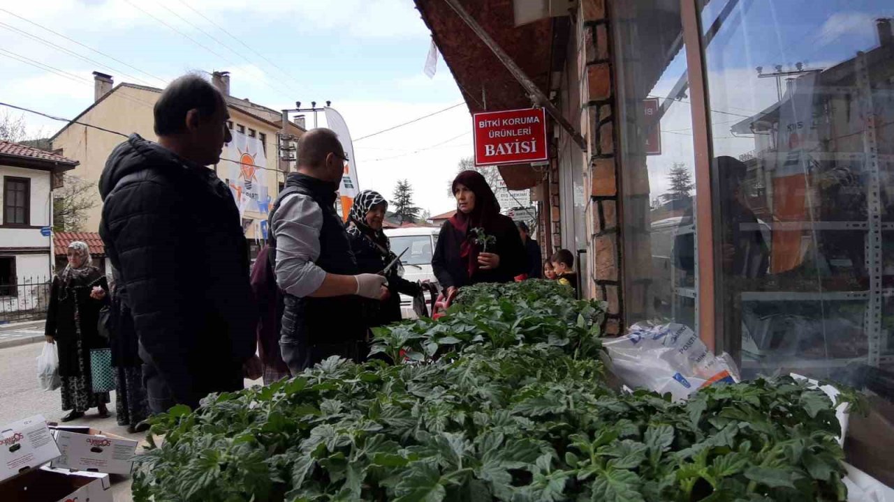 Bolu’da 10 bin fideye yoğun talep