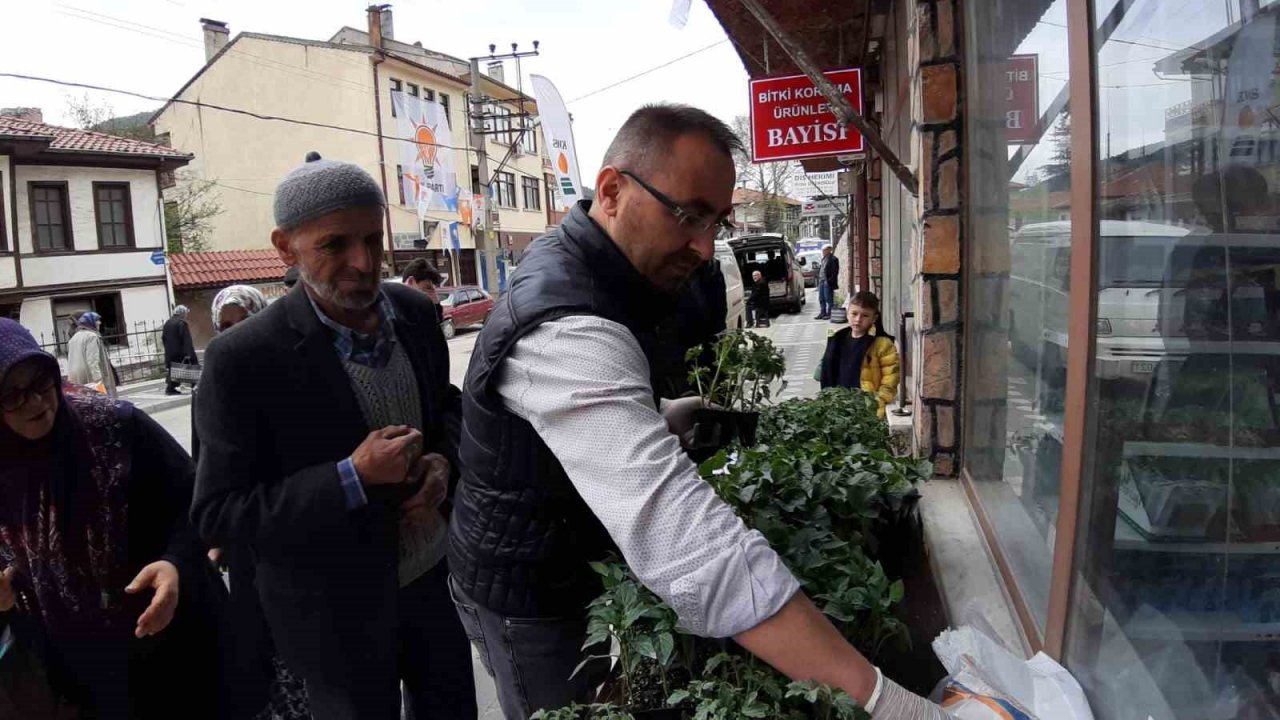 Bolu’da 10 bin fideye yoğun talep