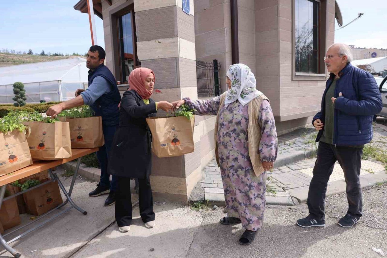 Gölbaşı Belediyesi’nden ata tohumu fidesi