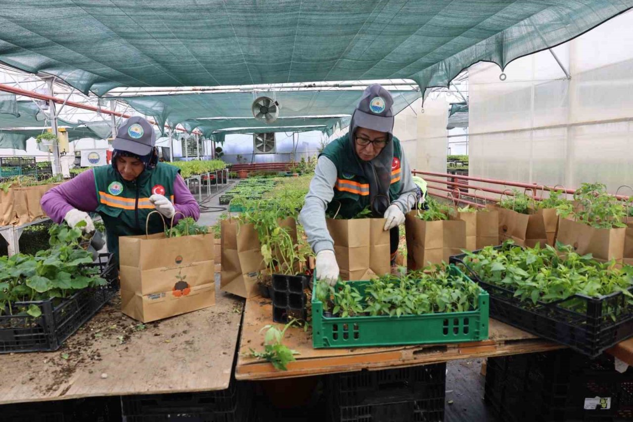 Gölbaşı Belediyesi’nden ata tohumu fidesi