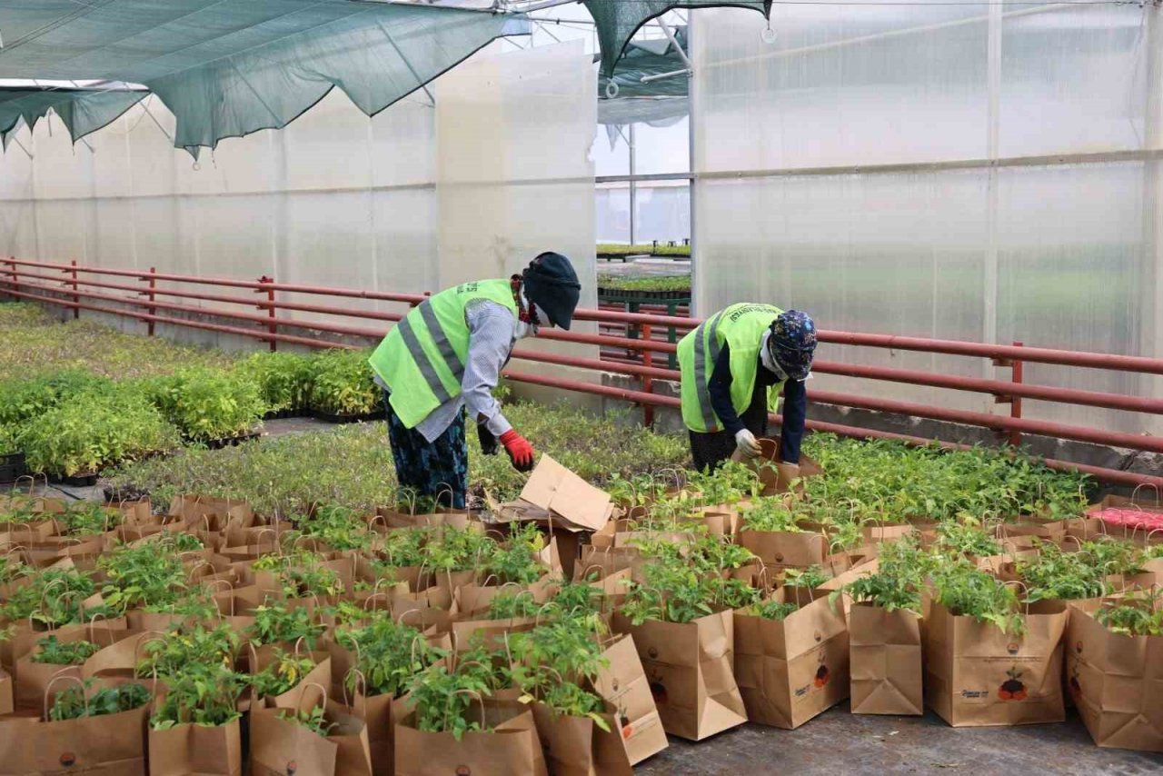 Gölbaşı Belediyesi’nden ata tohumu fidesi