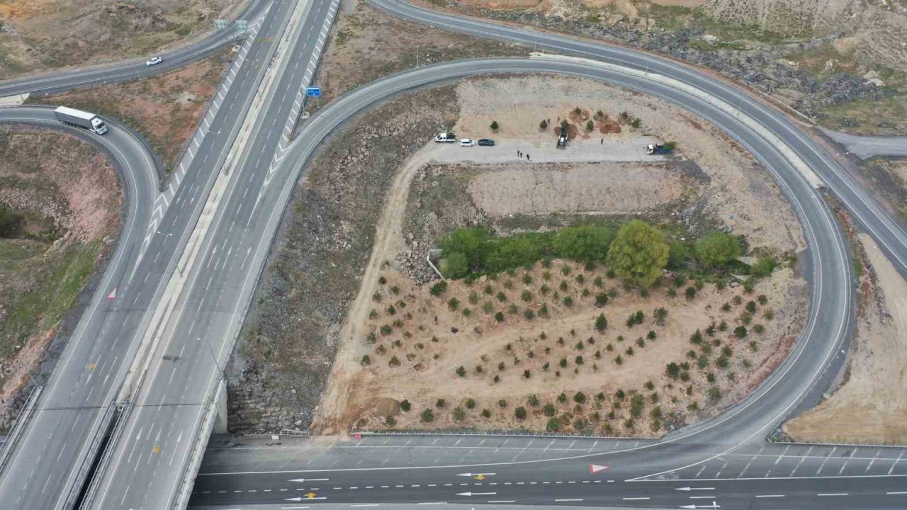 Büyükşehir, Mimarsinan OSB Kavşağı ile refüjleri ağaç taşıma yöntemi ile ağaçlandırıyor
