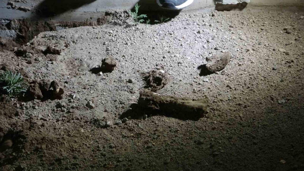 Mezarlıkta bir garip olay: "İnsan kemiği" dedi, hayvan kemiği çıktı