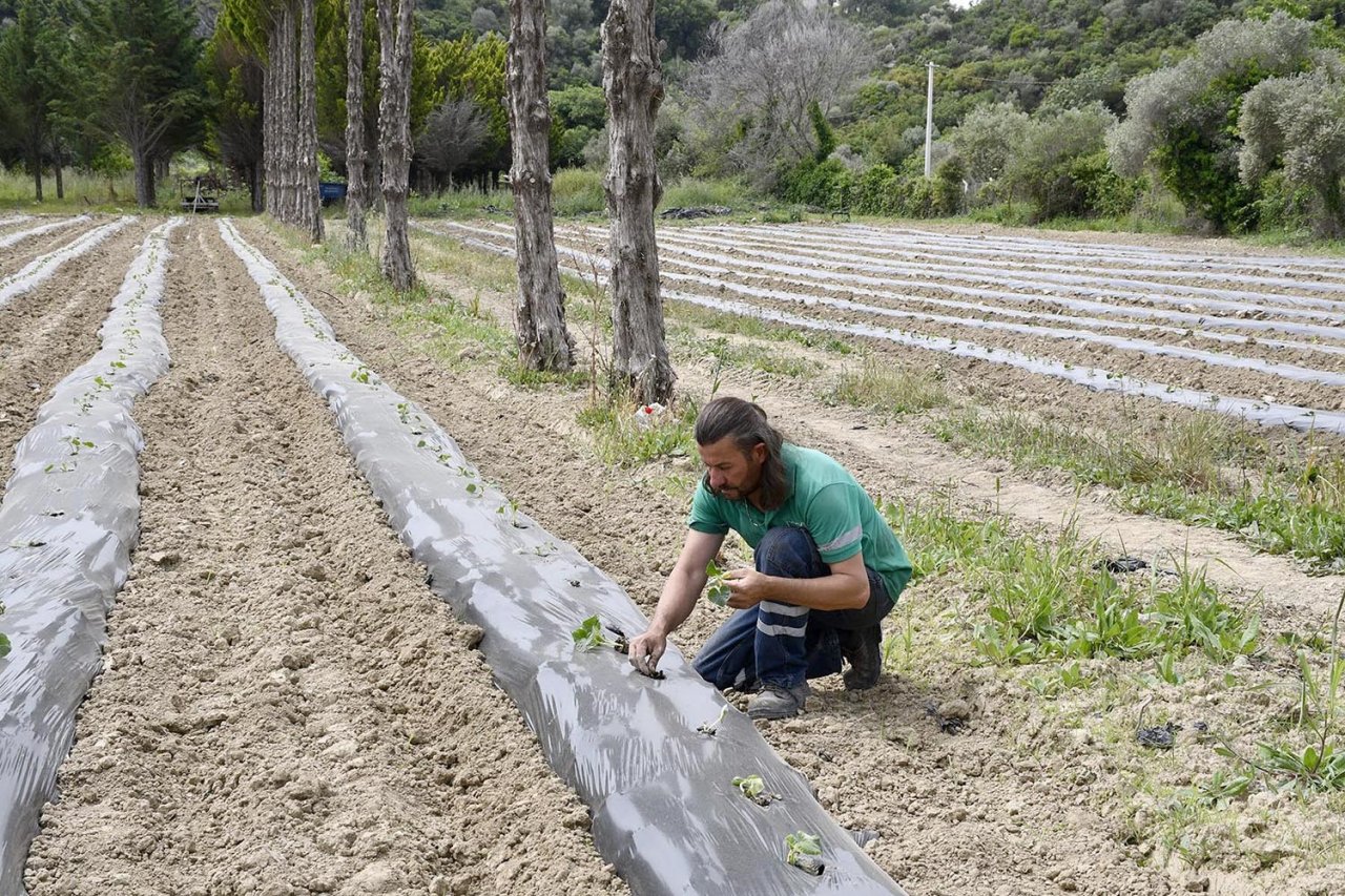 Adabahçe’ye yaz bereketiyle geldi