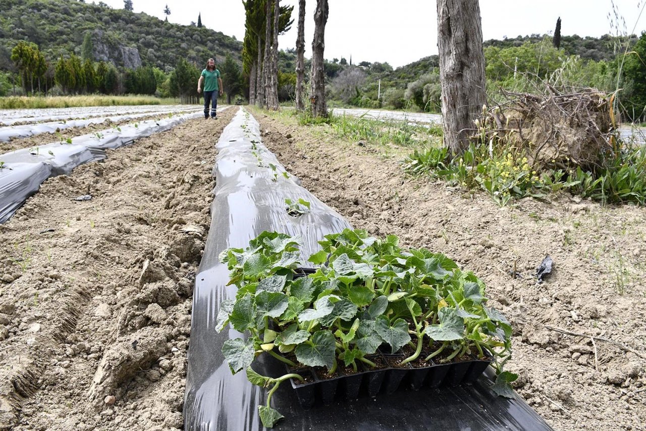 Adabahçe’ye yaz bereketiyle geldi