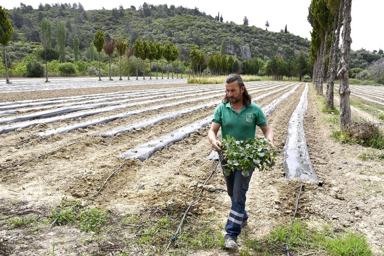 Adabahçe’ye yaz bereketiyle geldi