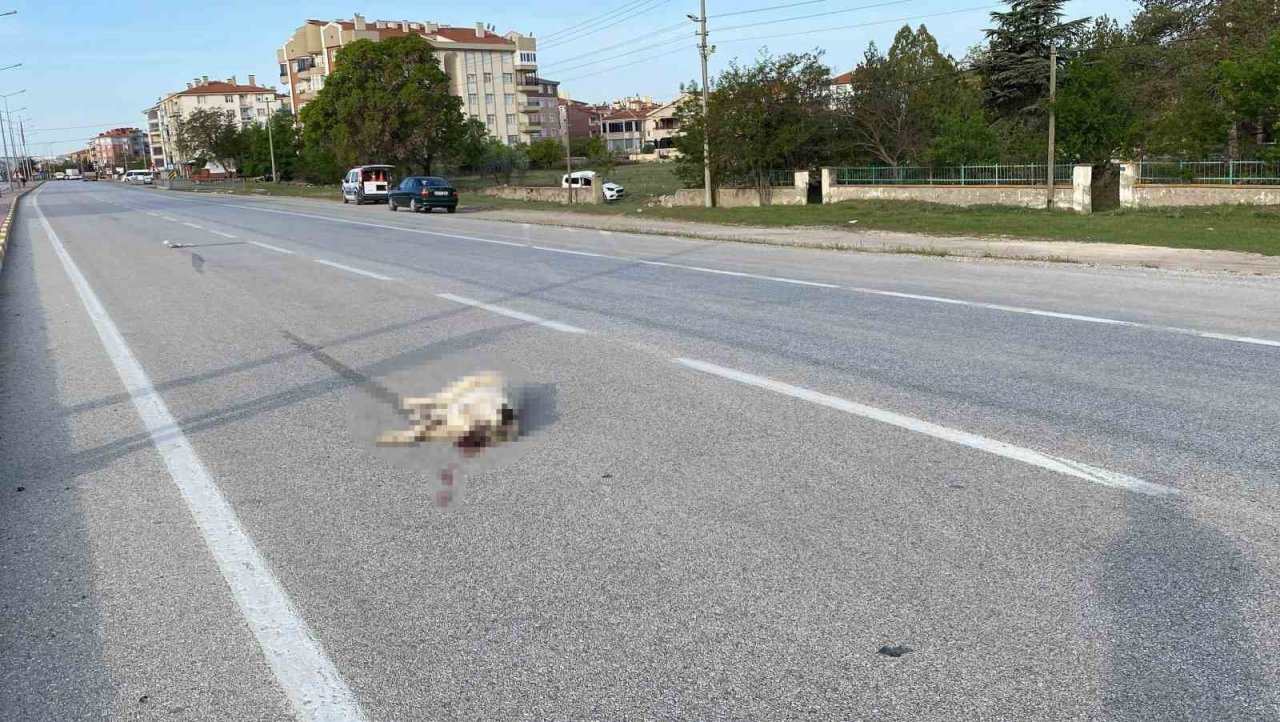 Köpeğe çarpan hafif ticari araç takla attı: 1 yaralı