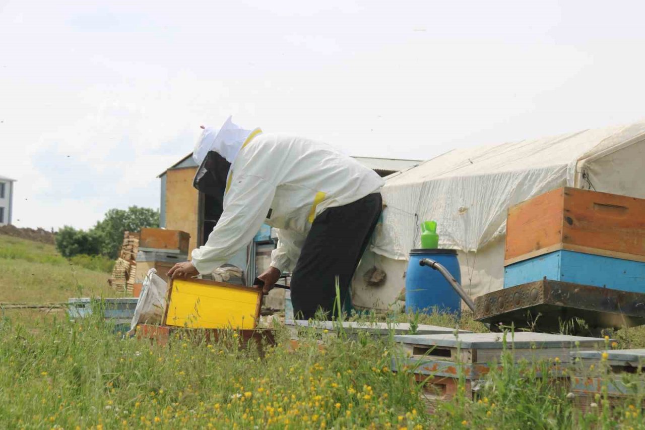 Aylardır Diyarbakır’da olan gezgin arıcı 2,5 ton rekolte bekliyor