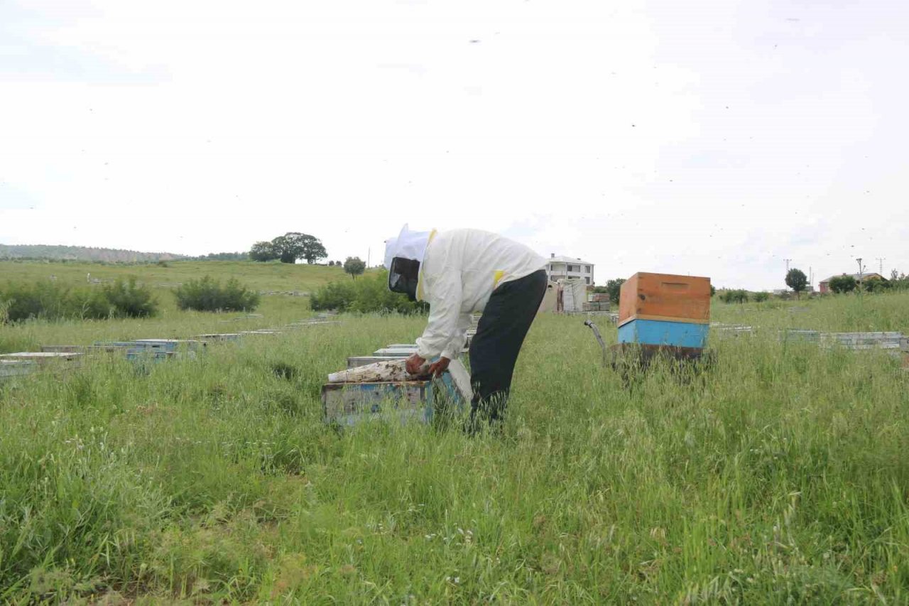 Aylardır Diyarbakır’da olan gezgin arıcı 2,5 ton rekolte bekliyor