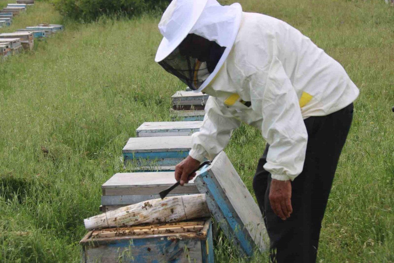 Aylardır Diyarbakır’da olan gezgin arıcı 2,5 ton rekolte bekliyor