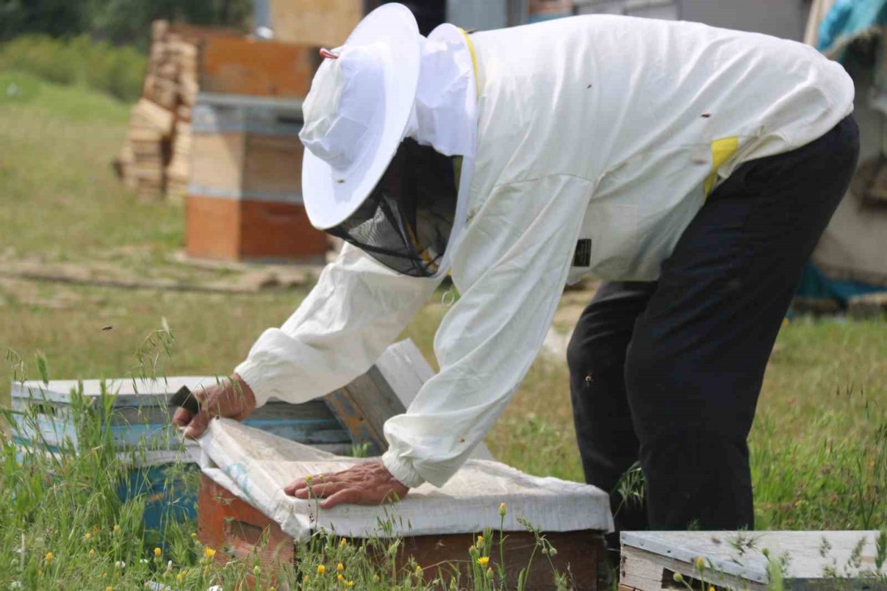 Aylardır Diyarbakır’da olan gezgin arıcı 2,5 ton rekolte bekliyor