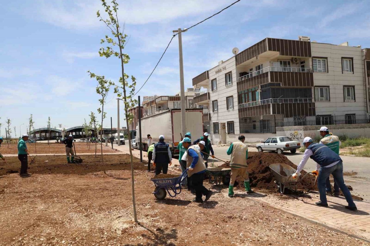 Haliliye’de parklar güzelleşiyor