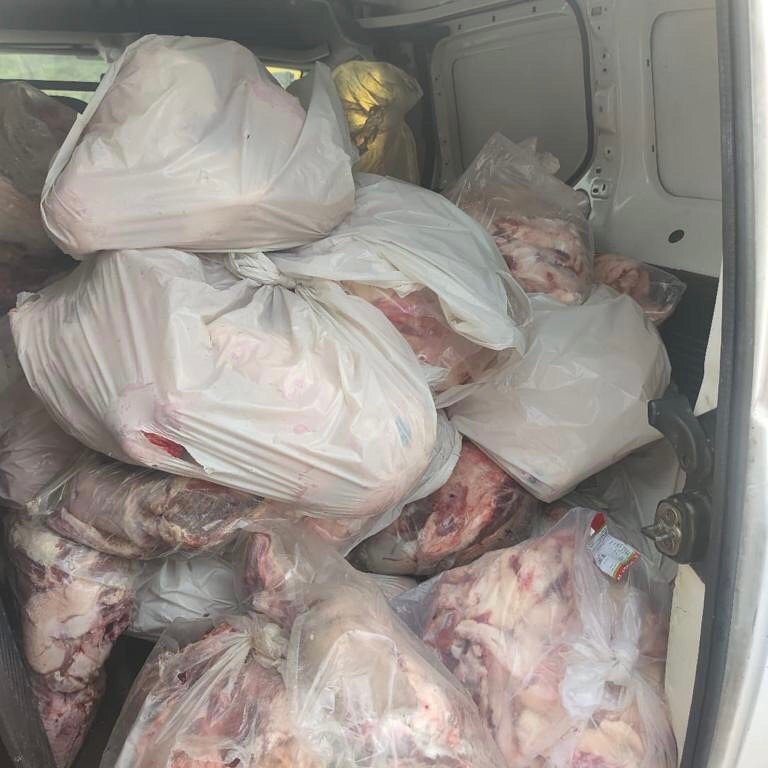 Köyceğiz’de kaçak hayvansal ürünler ele geçirildi