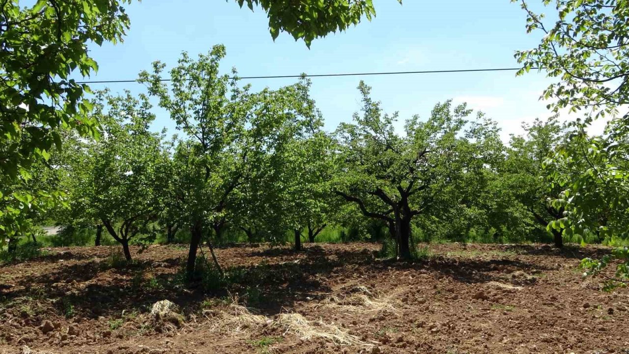 Su ihtiyacını güneşten ürettiği enerji ile karşılıyor