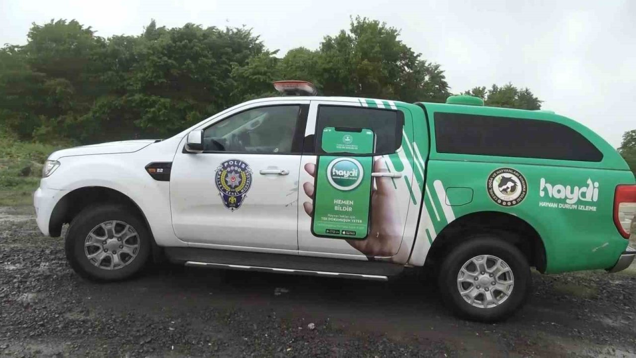 HAYDİ polisleri ile sokak hayvanları ’emniyet’te